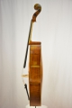 Violoncello 